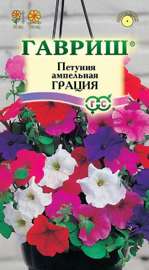 Петуния ампельная «Грация», 5 шт