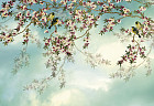 Фотообои «Sakura» (368х254 см)