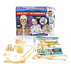 Набор для опытов «Скелет человека»