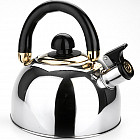 Чайник со свистком (2,5 л)