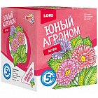 Набор для выращивания растений «Астра»