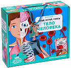 Тело человека