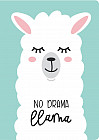 Блокнот. Лама. No drama