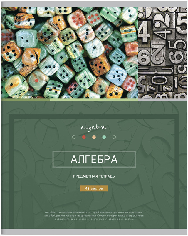 Тетрадь предметная «Алгебра» | Новый век | ArtSpace