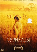 Сурикаты | BBC Films