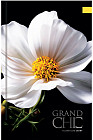 Ежедневник недатированный «Grand chic»