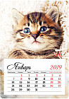 Календарь отрывной на магните «Усатый-полосатый» 2019