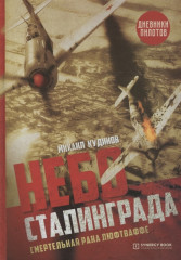 Небо Сталинграда. Смертельная рана