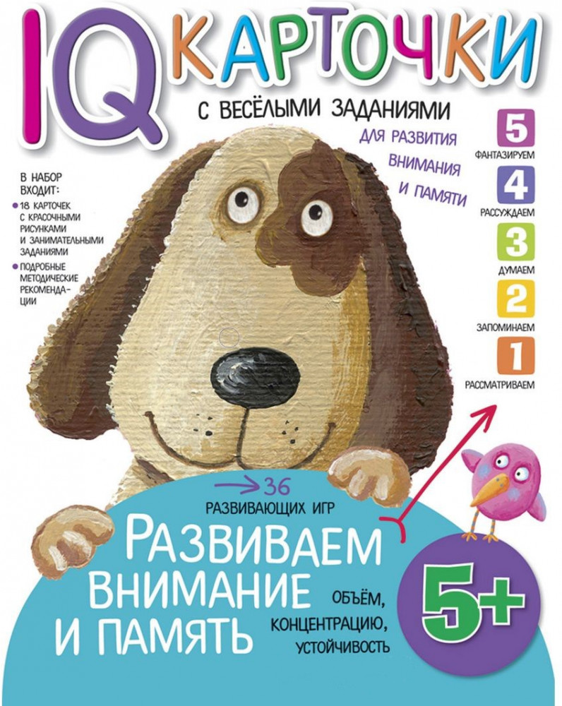 Карточки с веселыми заданиями. Развиваем внимание и память. 5+ | IQ карточки