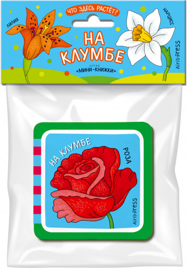 Мини-книжка EVA. Что здесь растёт? На клумбе