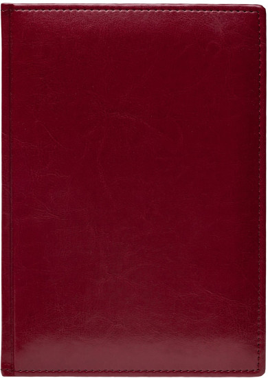 Ежедневник датированный