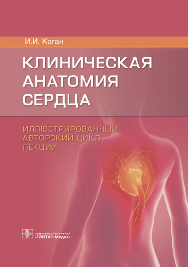 Клиническая анатомия сердца