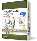 Анатомия человека. Синдесмология