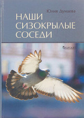 Наши сизокрылые соседи