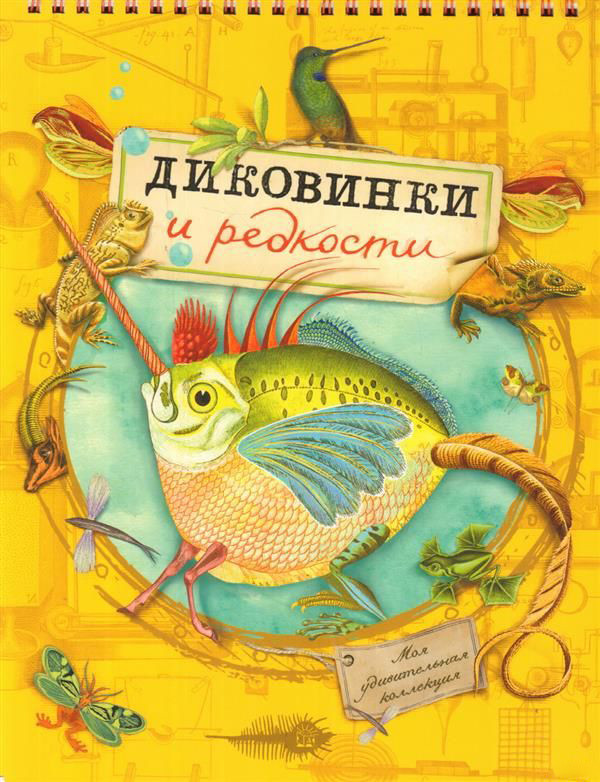 Моя удивительная коллекция. Диковинки и редкости | Занимательный досуг