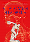 Анатомия человека. Атлас