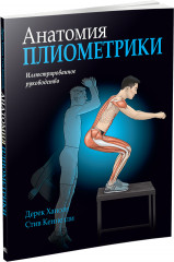 Анатомия плиометрики
