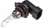 Автолампа галогенная HB3/9005 12V 65W