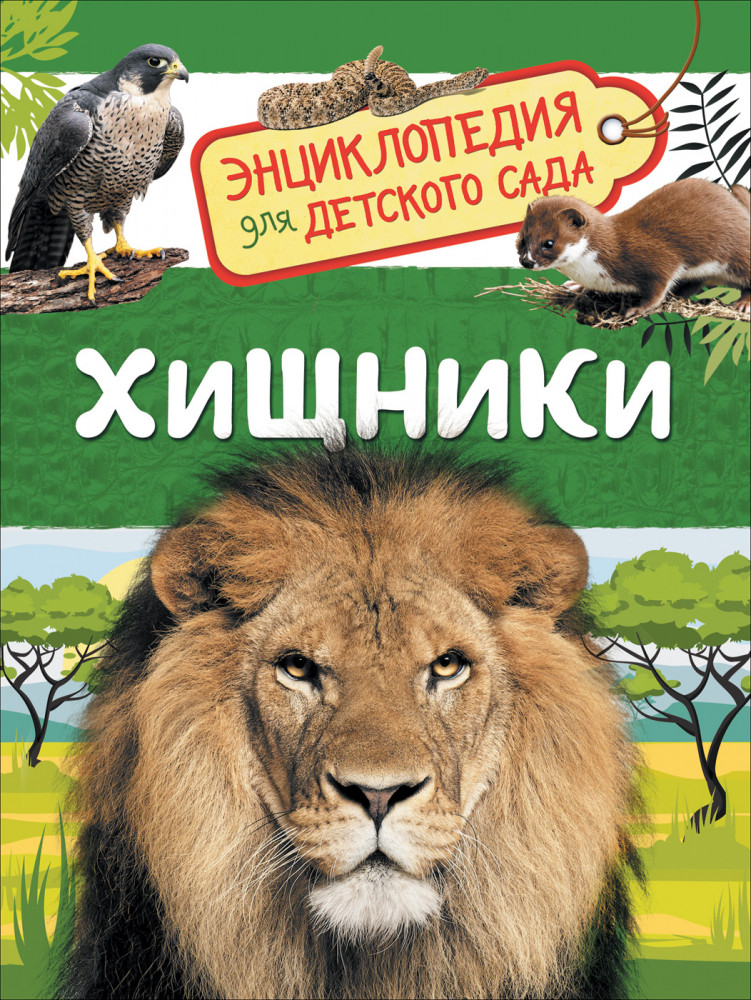 Хищники | Энциклопедия для детского сада
