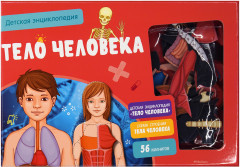Тело человека