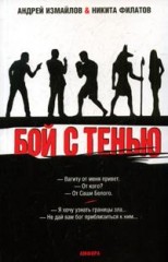 Бой с тенью