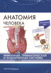 Анатомия человека