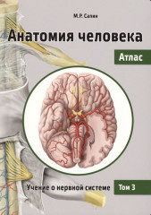 Анатомия человека. Атлас. Том 3
