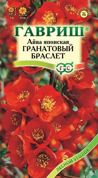 Семена. Айва японская «Гранатовый браслет» | Лесной уголок | Гавриш