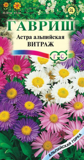 Астра альпийская «Витраж»