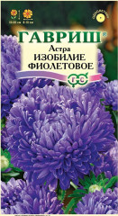 Астра «Изобилие фиолетовое»
