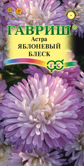 Астра «Яблоневый блеск»