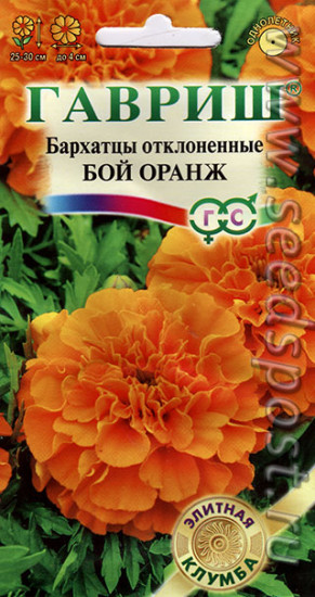 Бархатцы отклоненные (тагетес) «Бой Оранж»