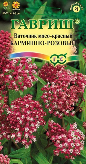 Ваточник «Карминно-розовый»