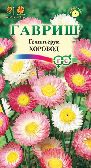 Гелиптерум розовый «Хоровод»