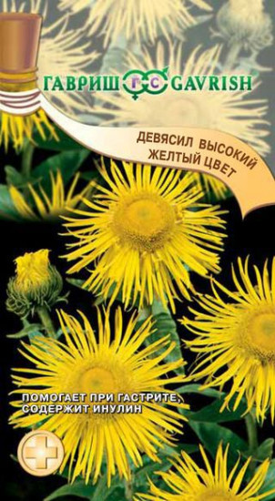 Девясил высокий