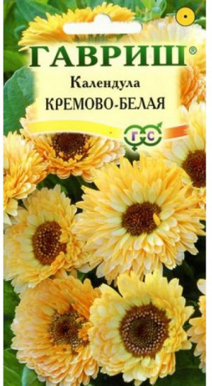 Календула «Кремово-белая»