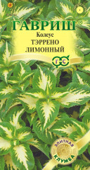Колеус «Тэррено лимонный»