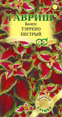Колеус «Тэррено пестрый»