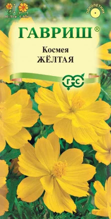 Космея «Желтая»