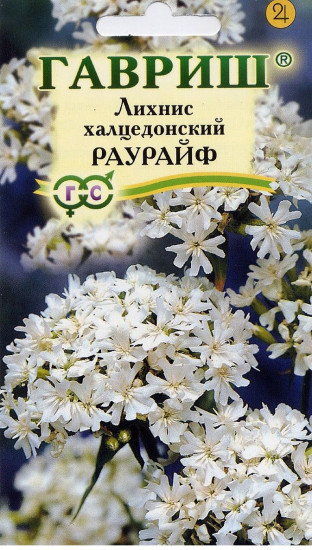 Лихнис халцедонский «Раурайф»