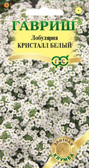 Лобулярия «Кристалл белый»
