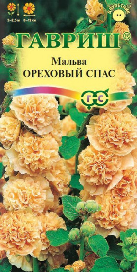 Мальва «Ореховый спас»