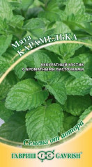 Мята «Карамелька»