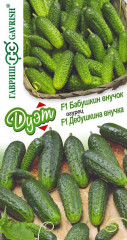 Огурец «Бабушкин внучок» и «Дедушкина внучка»