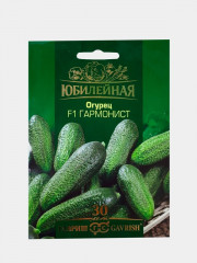 Огурец «Гармонист»