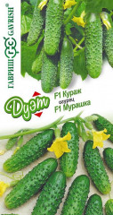 Огурец «Кураж» и «Мурашка»