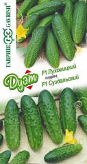 Огурец «Луховицкий» и «Суздальский»