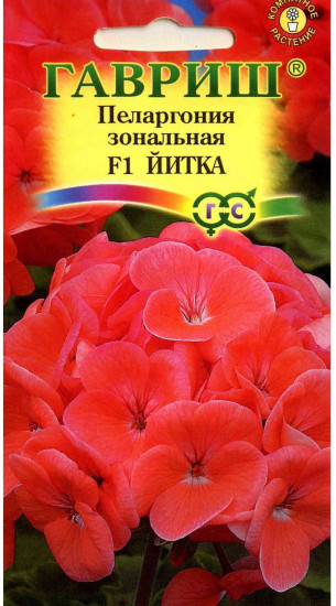 Пеларгония зональная «Йитка»