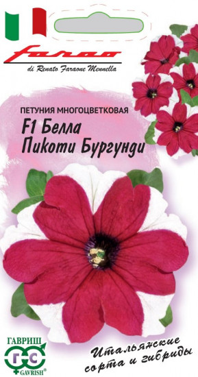 Петуния «Белла Пикоти Бургунди»