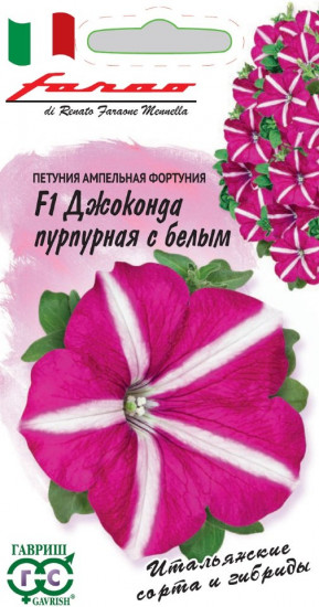 Петуния «Джоконда пурпурная с белым»